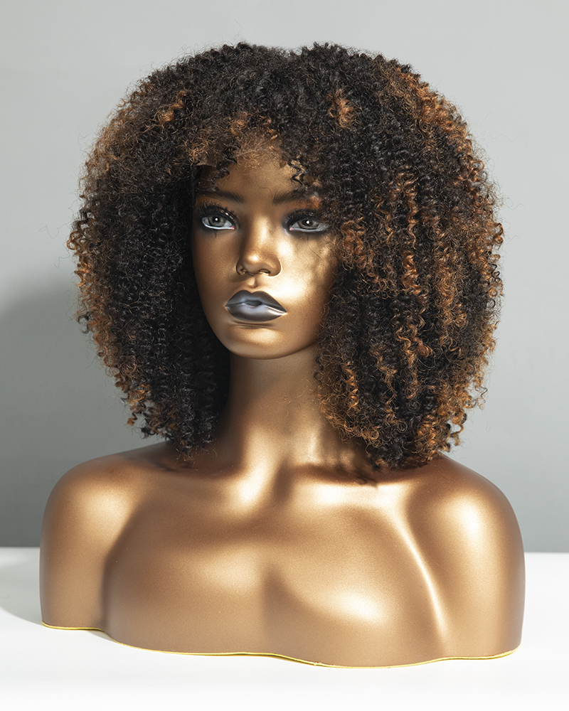 Partial highlight Natural Curly Beginner Wig with Bangs
